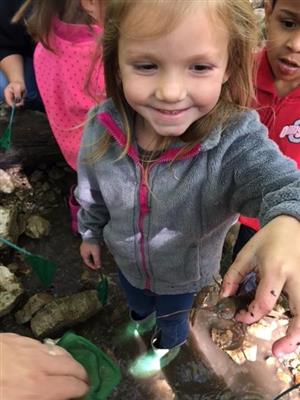 Preschool STEM 